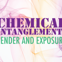 The title "Chemical Entanglements: Gender and Exposure" against a pink background that depicts images of test tubes and molecules.