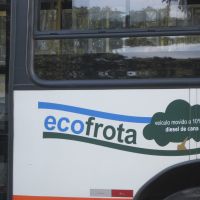 Side of a bus with a blue and green graphic of a tree.