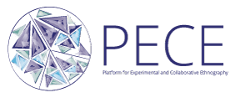 PECE logo
