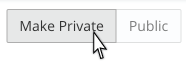 Cursor hovering over the as-yet unselected option "Make Private"; "Public" is already selected